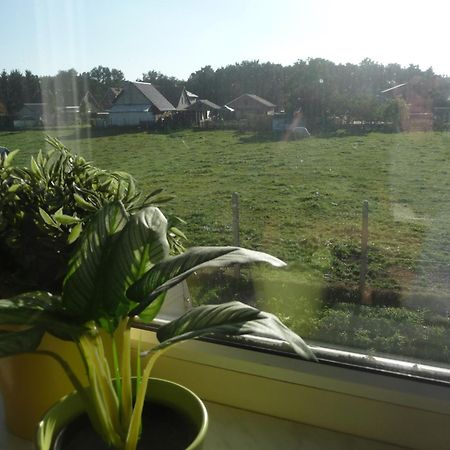De Alpacaboerderij Apartamento Bocholt Quarto foto