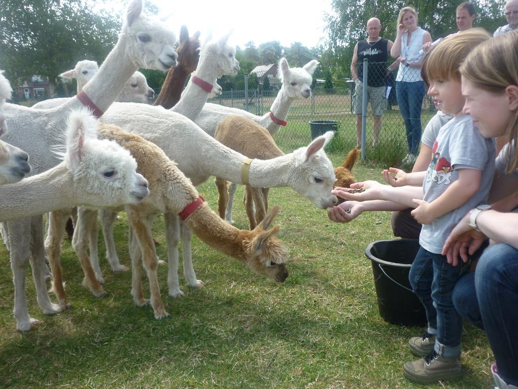 De Alpacaboerderij Apartamento Bocholt Exterior foto