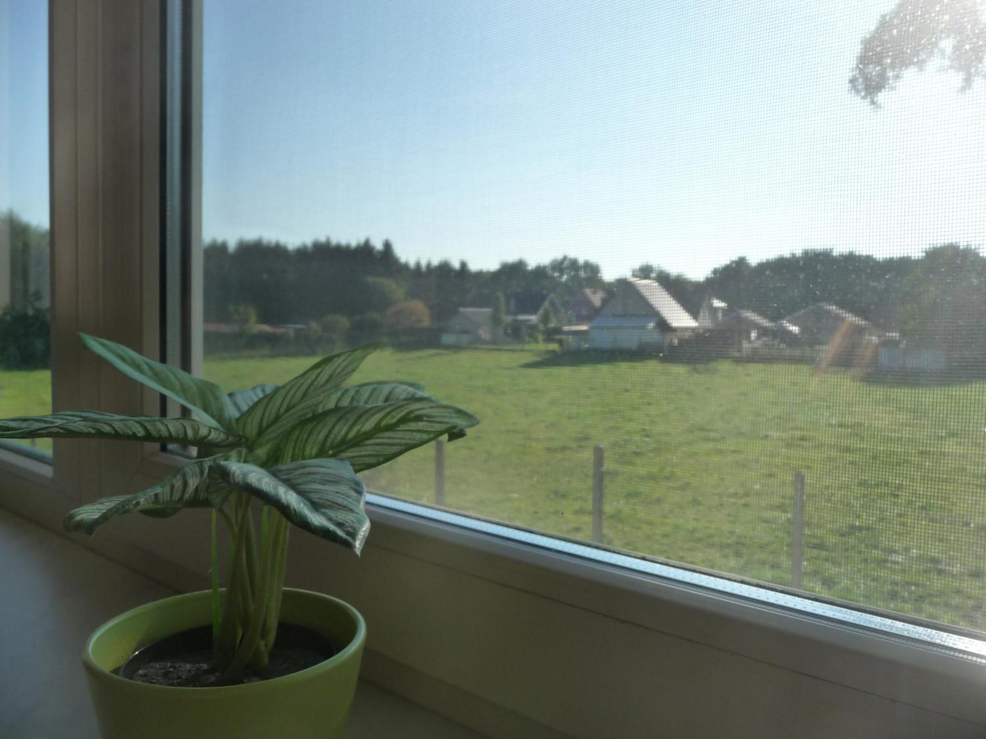 De Alpacaboerderij Apartamento Bocholt Quarto foto