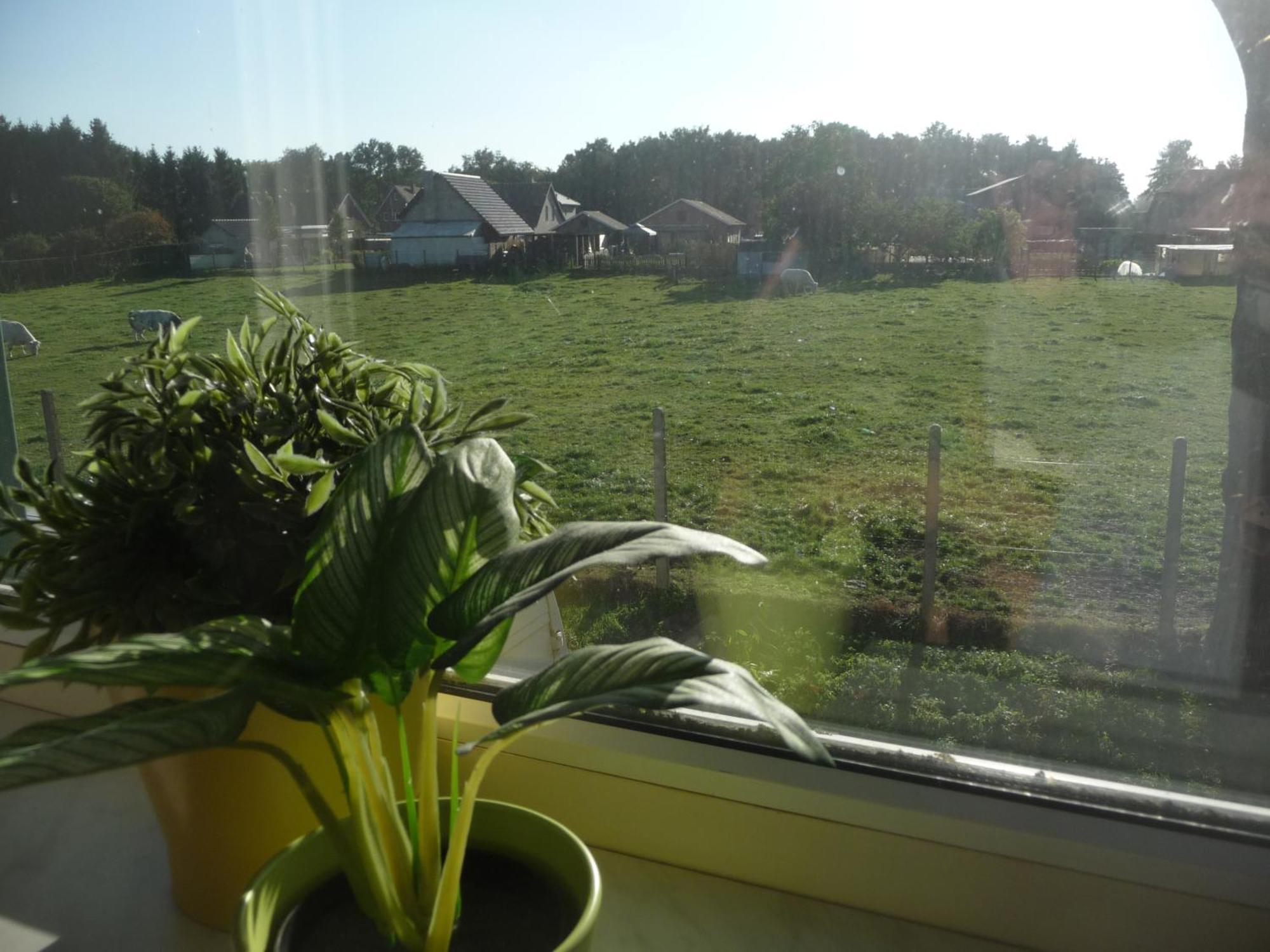De Alpacaboerderij Apartamento Bocholt Quarto foto