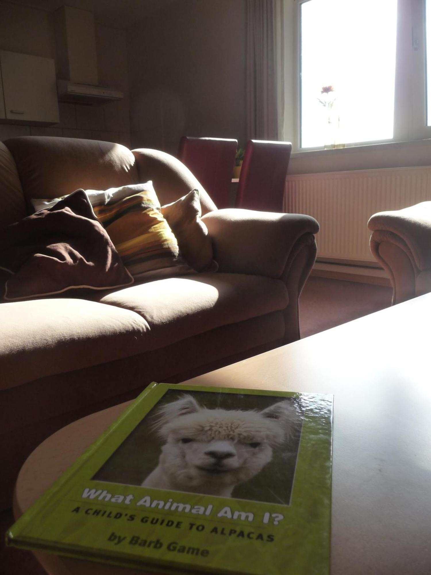De Alpacaboerderij Apartamento Bocholt Quarto foto